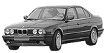 BMW E34 P2387 Fault Code